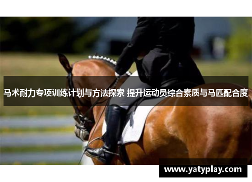 马术耐力专项训练计划与方法探索 提升运动员综合素质与马匹配合度
