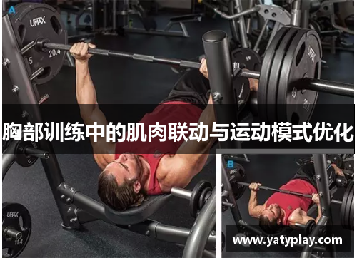 胸部训练中的肌肉联动与运动模式优化